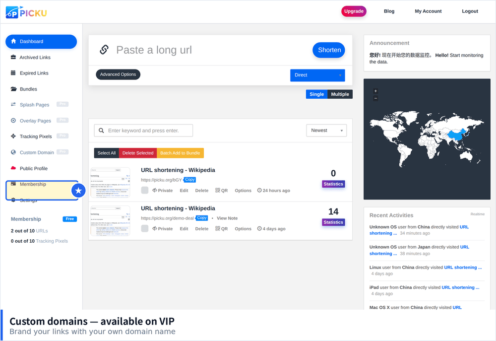 PicKu dashboard sidebar highlighting the Custom Domain menu entry